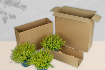 vERSANDVERPACKUNG BUSCHI