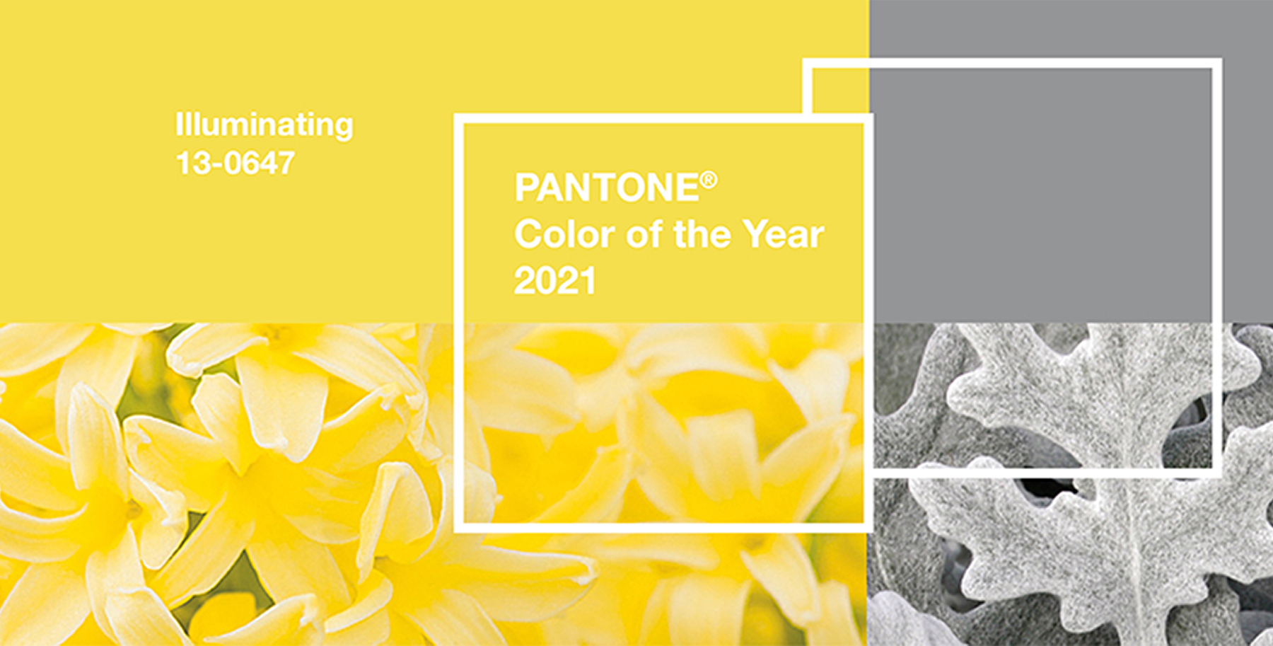 Pantone Color of the year 2021