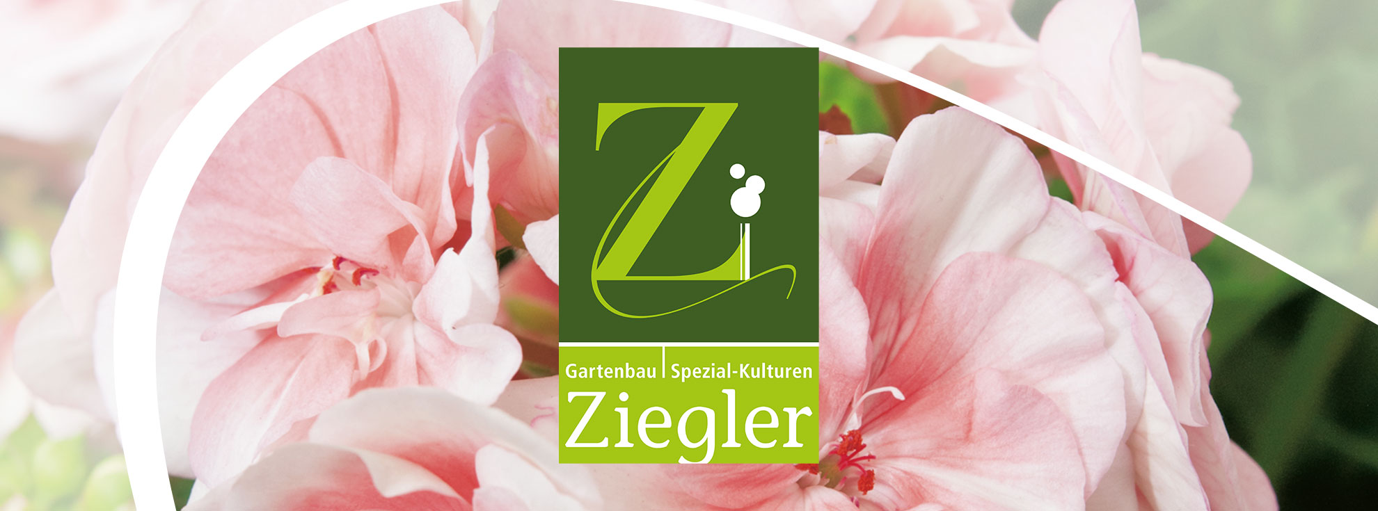 Titelbild Corporate Design für Gartenbau Ziegler