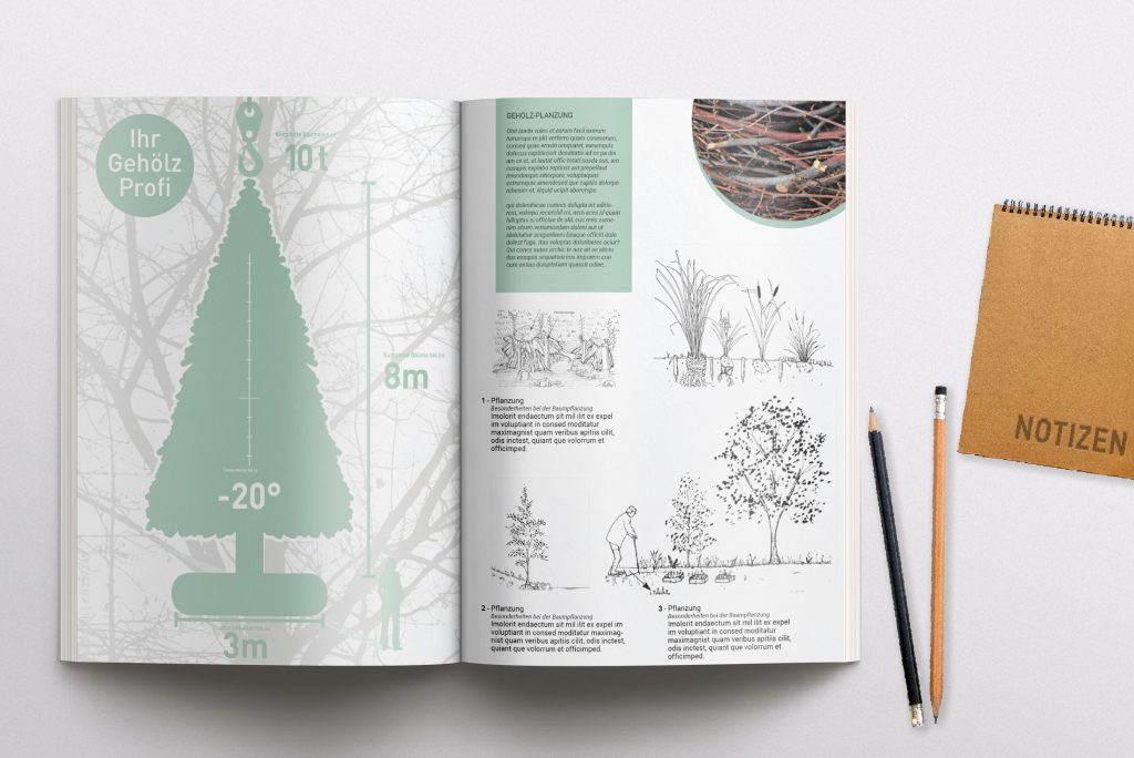 Katalog_Visualisierung_Gehoelze