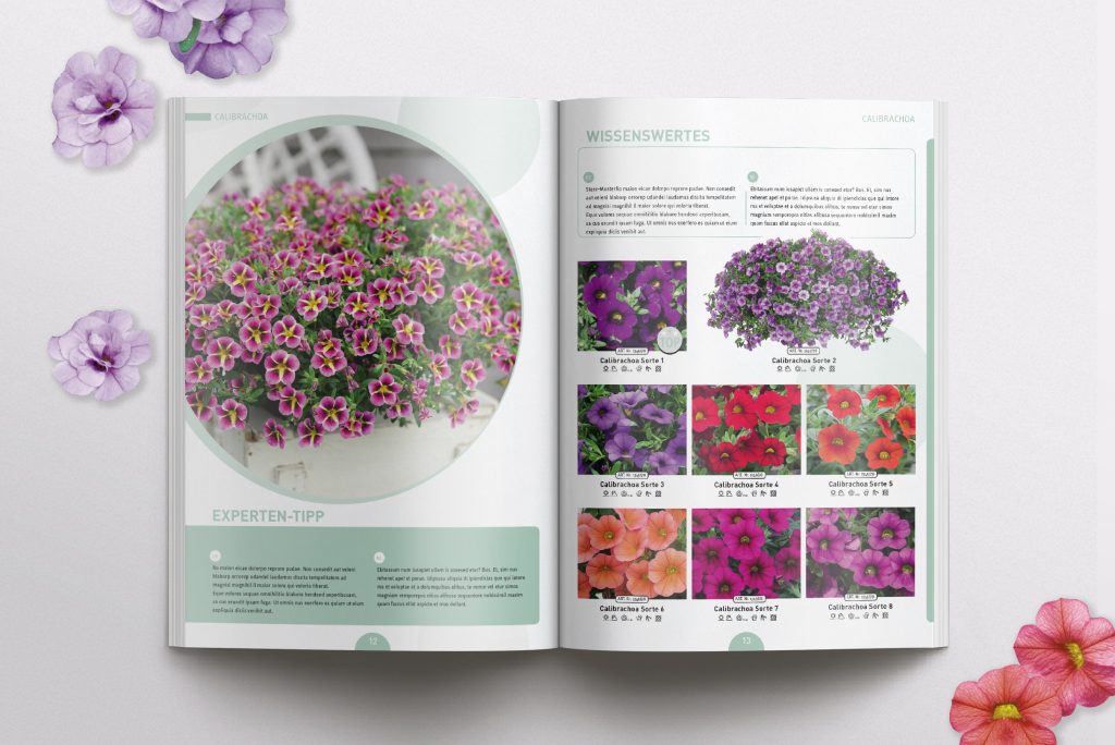 Katalog_Visualisierung_Klassisch