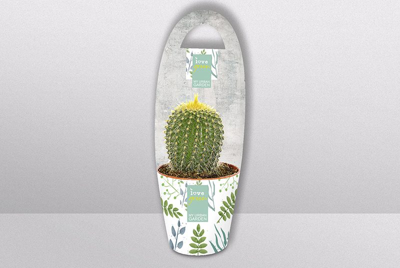 Potcover_Tragegriff