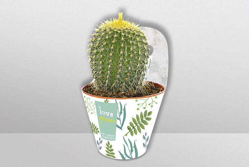 Potcover_Topfmanschette