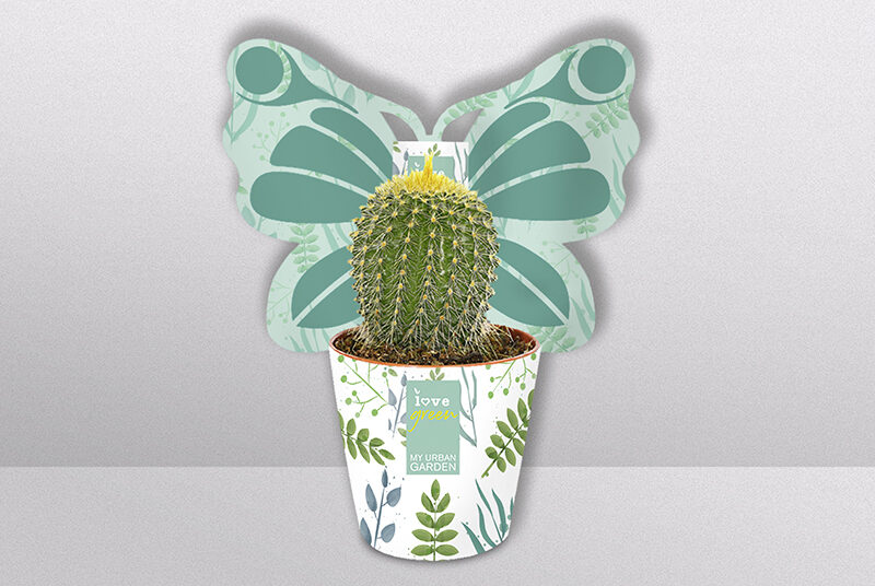 Potcover_individuelle_Formen